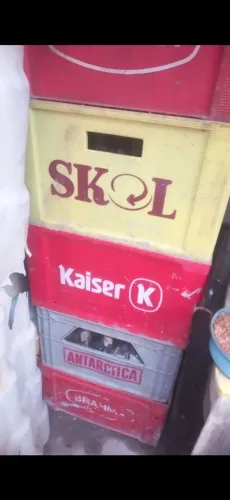 Engradado de cerveja completo