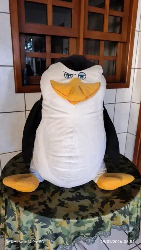 Pelúcia 