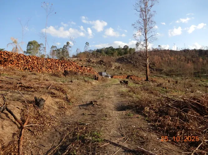 Imóvel para venda tem 30132 metros quadrados em Área Rural de Amparo - Amparo - SP