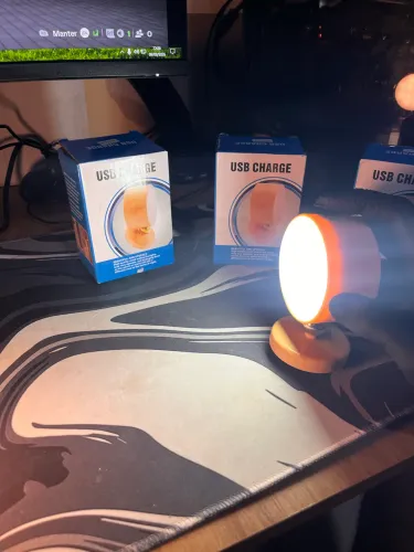 Luminária de Mesa LED USB Recarregável Portátil Luz de Cabeceira Decorativa