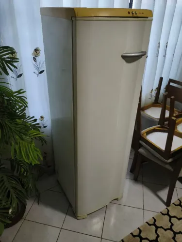 Freezer vertical 110v