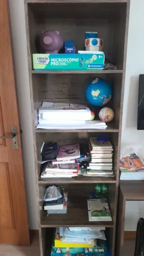 Armário organizador