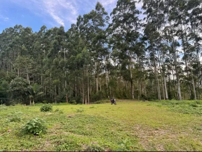 Lindo Terreno para venda possui 4000 metros quadrados em Centro - Águas Mornas - SC