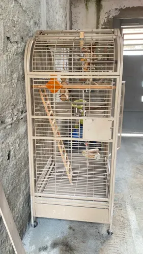 Viveiro Grande de Luxo para Aves - Excelente Estado (Com Brindes!)