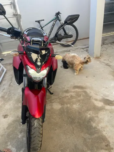 Yamaha Fazer FZ25 250 2021 - Excelente Estado - Baixa KM