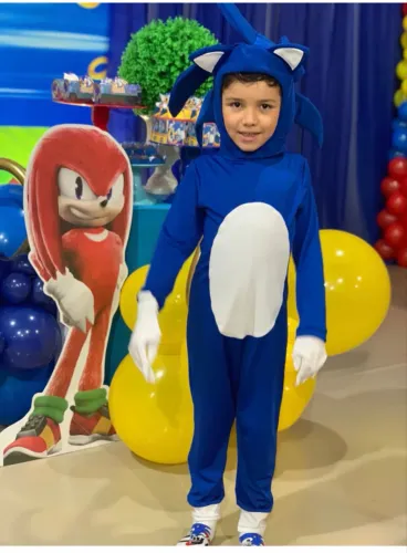 Fantasia Sônic 8 anos