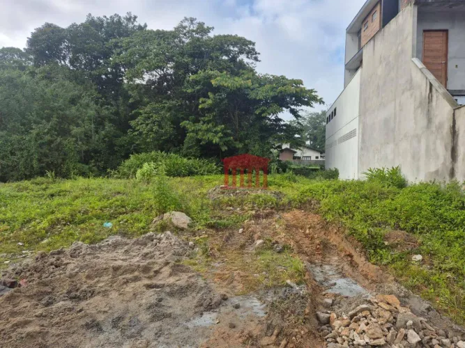 Terreno à venda, 250 m² por R$ 225.000,00 - Centro - Araquari/SC