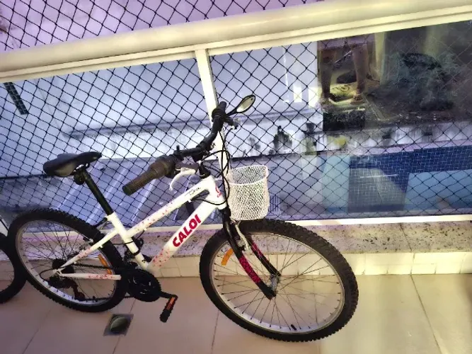 Bicicleta Caloi Ceci Aro 24