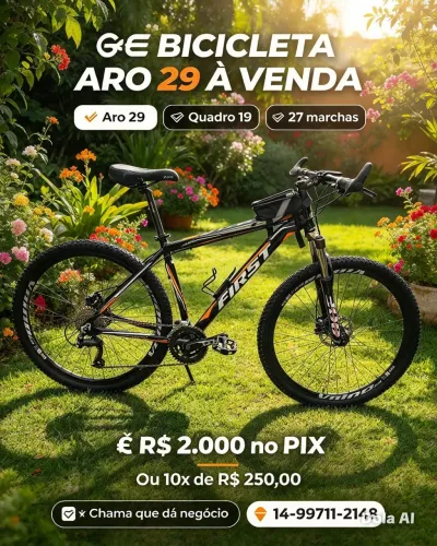 Bike aro 29