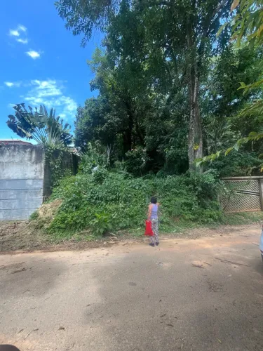 TERRENO EM MAIRIPORÃ 