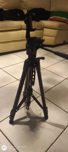 Fotos