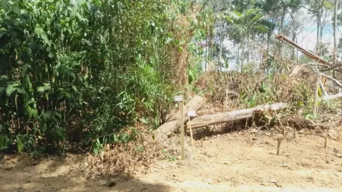 LOTE da Chácara São Raimundo