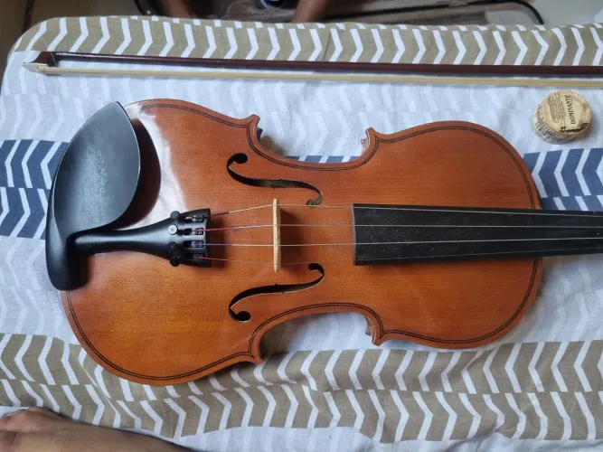 Violino para estudo