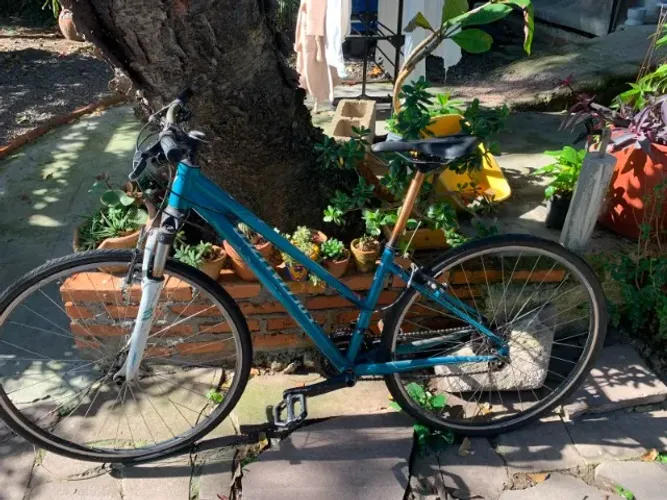 Bicicleta Specialized Ariel