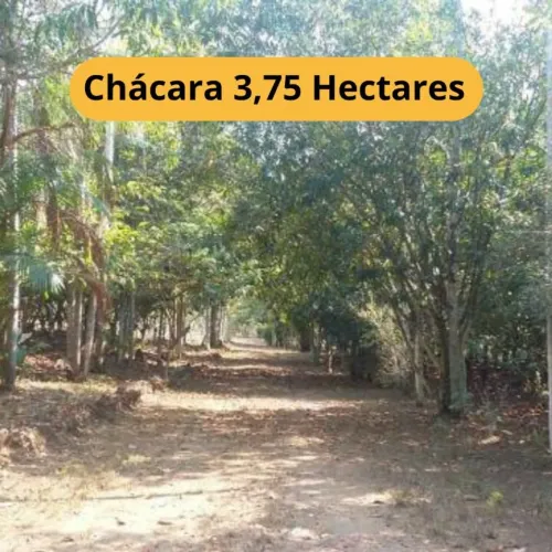 Oportunidade Rural: Chácara de 3,75 Hectares com Pomar em Candeias do Jamari