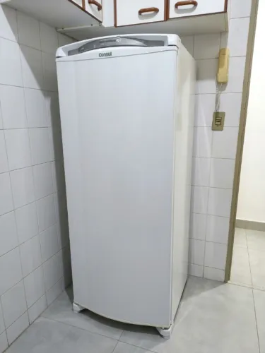 Geladeira Consul Facilite Frost Free 300 Litros CRB36AB