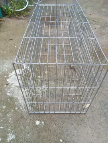 Gatoeira armadilha , para captura de felinos difíceis de capturar .
