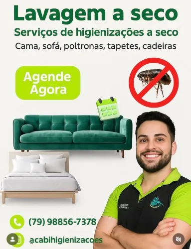 Lavagem a seco! Higienização detalhada. 