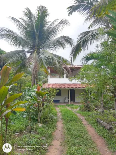 COMPRAR SÍTIO COM 6.900M2 DE ÁREA, CASA DUPLEX COM 3 QUARTOS, ARVORES FRUTÍFERAS PRODUZIND