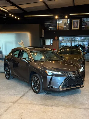 Lexus UX-300h 2.0 16V Aut. (híbrido) 2026
