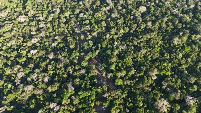 ? SÍTIO À VENDA EM ALTER DO CHÃO - 36.000 m² DE OPORTUNIDADE!