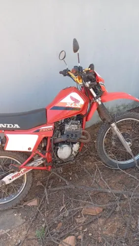 Xlx 250