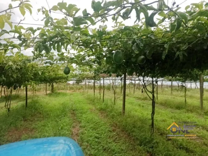 Sítio à venda, 37.844 m² por R$ 550.000 - Abaitinga - São Miguel Arcanjo/SP