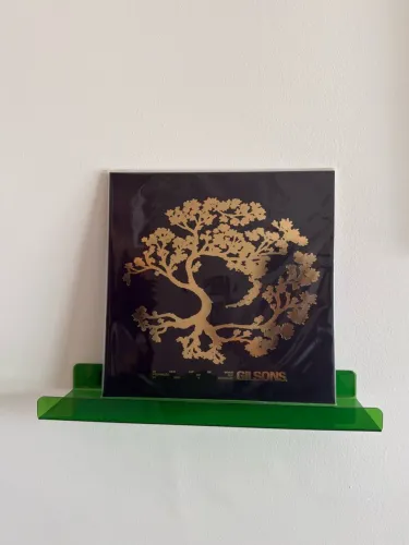 Vinil Gilsons - Eu vejo luz na maior proporção que eu vejo a escuridão 