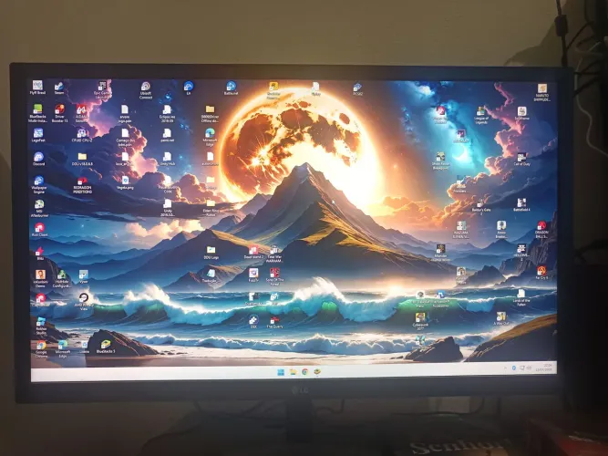 Monitor LG