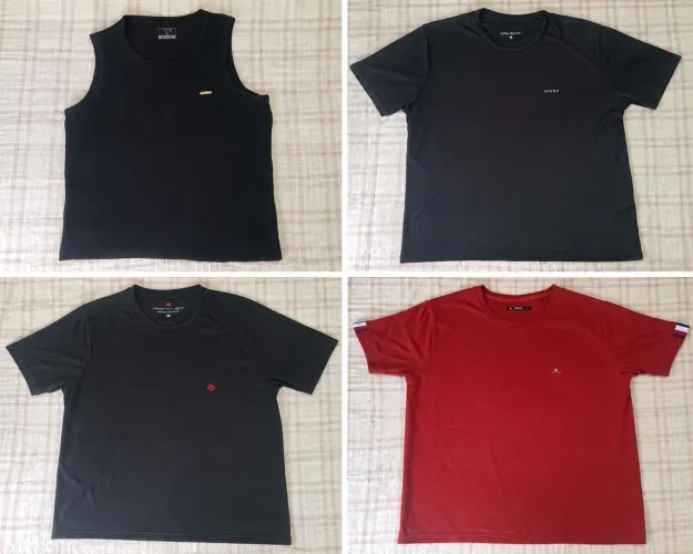 10 camisas e 2 bermudas