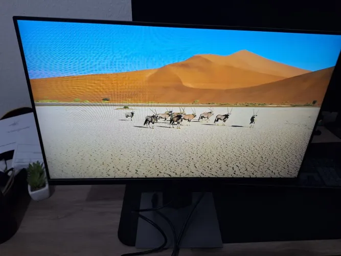 Monitor Dell P2319H 23" IPS Full HD Ajuste de Altura