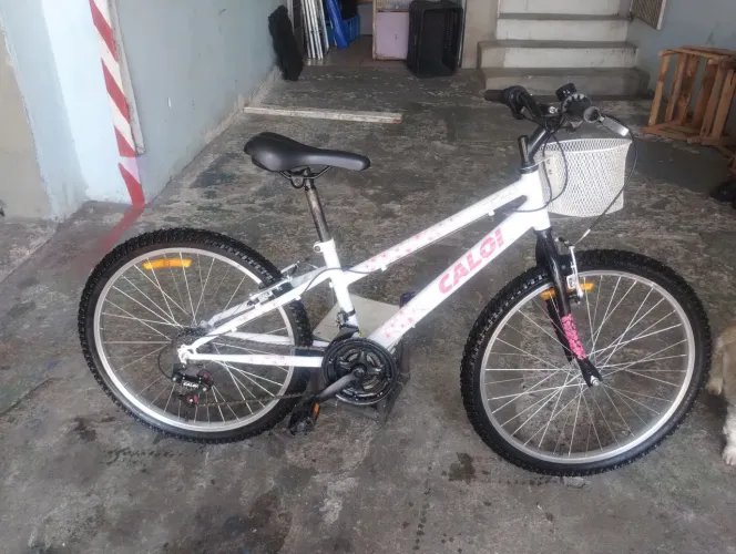 Bicicleta jovem