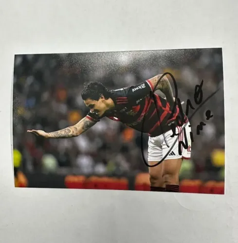 Fotografar flamengo autogragada 