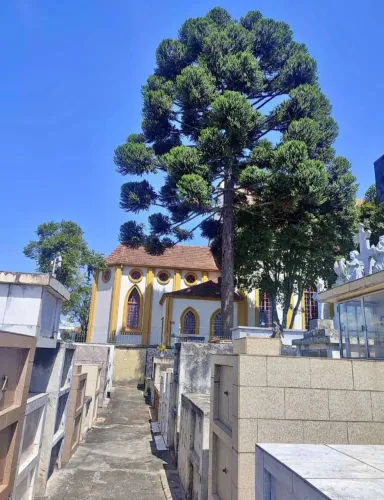 JAZIGO,TÚMULO 3 GAVETAS CEMITÉRIO DA ORLÉANS