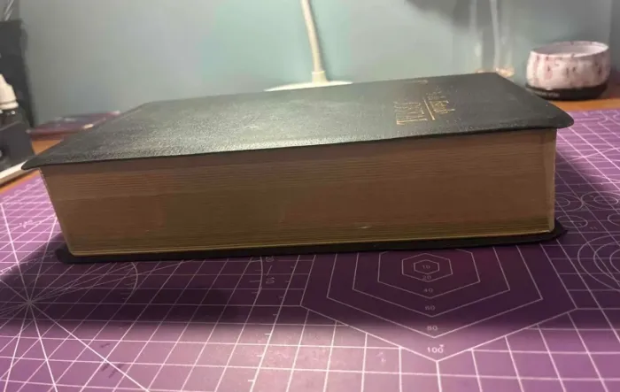 BÍBLIA DE ESTUDO PENTECOSTAL COM HARPA sem grifos
