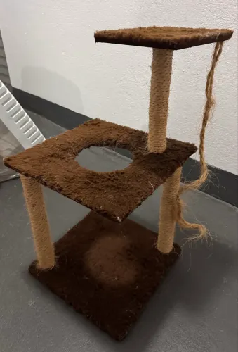 Arranhador para gato