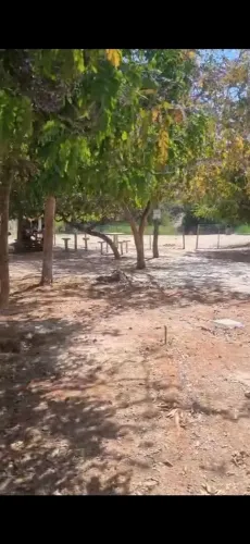 Chácara com preço imperdível 