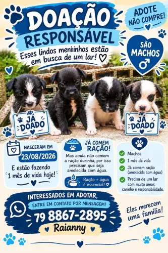 Doação