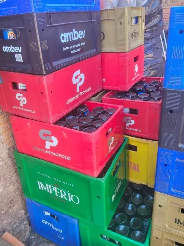Vendo ingradados de Romarinho