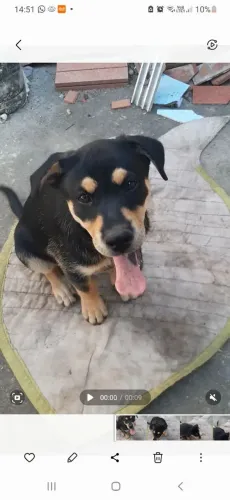 Doação