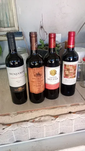 Vinhos Chilenos Seco