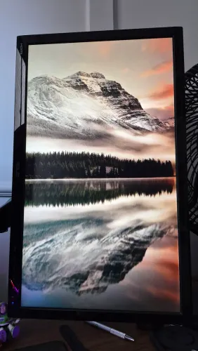 Monitor ASUS 24" 60Hz
