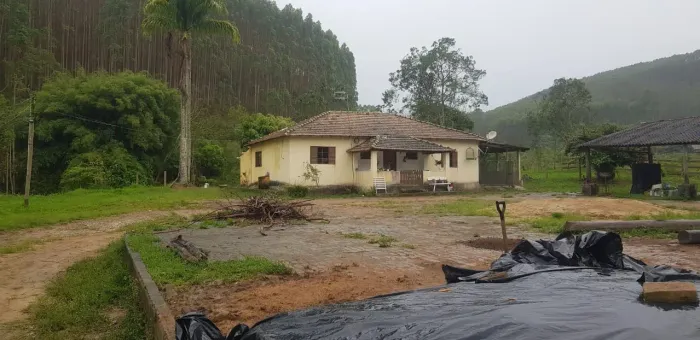 *EXCELENTE FAZENDA COM EUCALIPTOS A VENDA NO ESTADO DE SÃO PAULO* ?? Localização: Região d