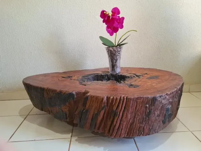 Mesa de centro tronco rústica 