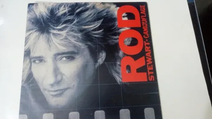Lp Rod Stewart Camouflage
