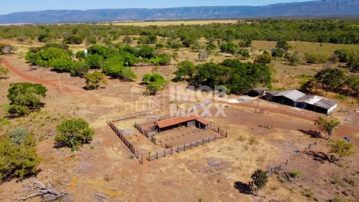 Fazenda a venda em Formosa: 281 hectares, água perene, dupla aptidão - escriturada e regis