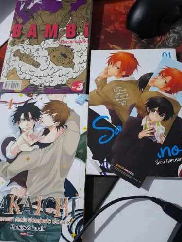 LER VALORES - Mangá Dakaichi, Sasaki to Miyano e Bambi