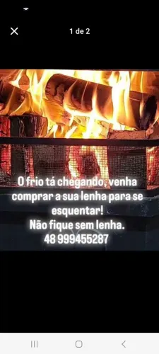 Lenha para o inverno - *