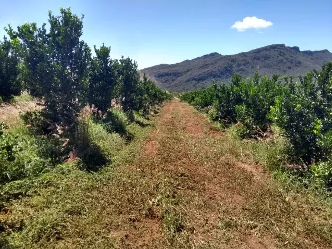 Vendo Terreno 22 hectares - Rio de Contas Chapada Diamantina (SMPo)
