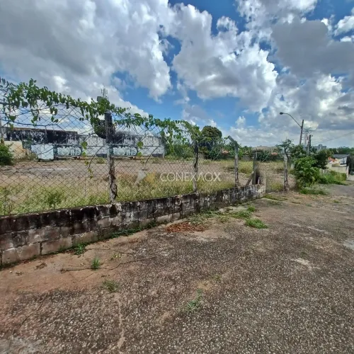 área - Chácara da Barra - Campinas